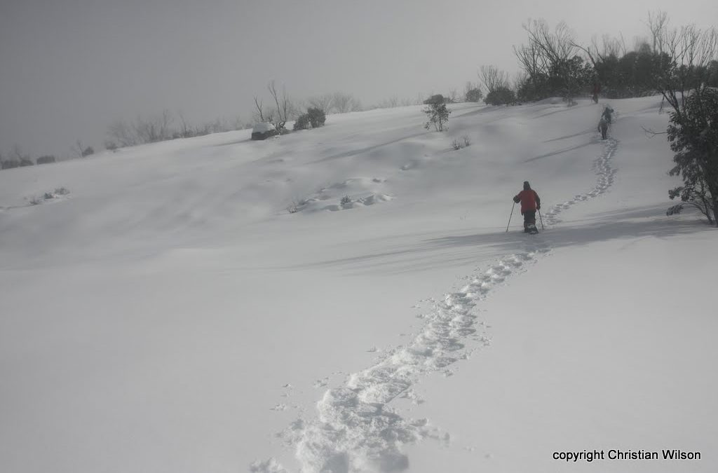 Mt Gungartan