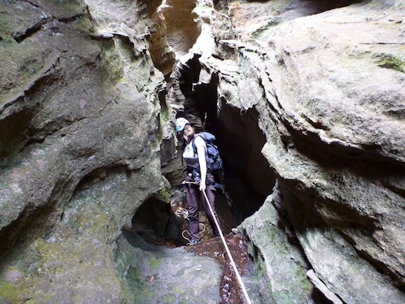 Tiger Snake and Penrose Gully revisited