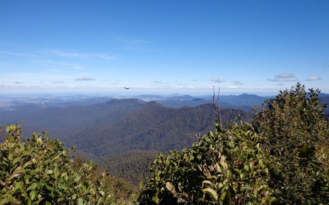 Barrington Tops