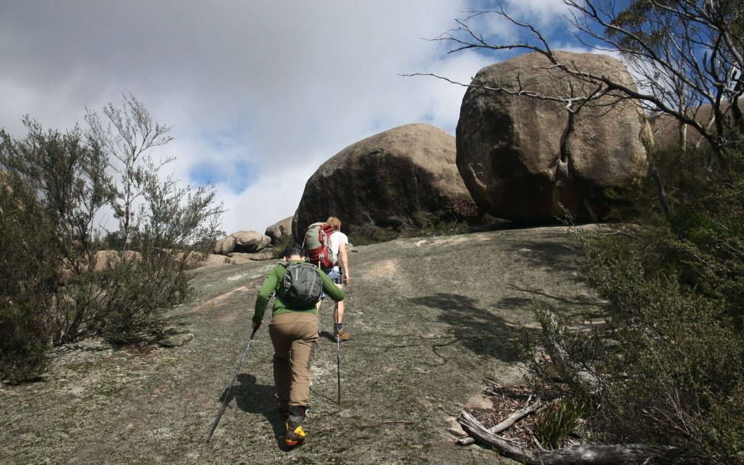 Tinderry Peak