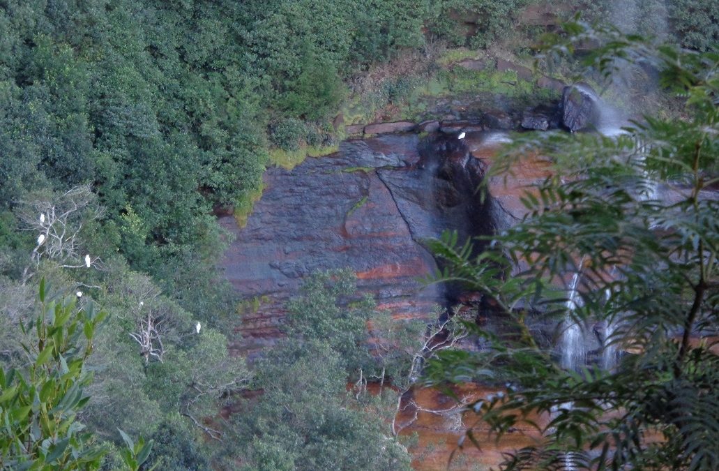 Wicked Witch Walk, Leura-Katoomba