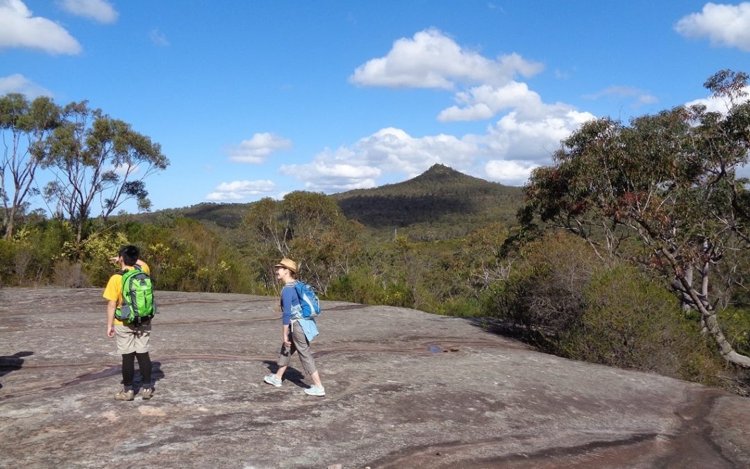 Mt Wondabyne