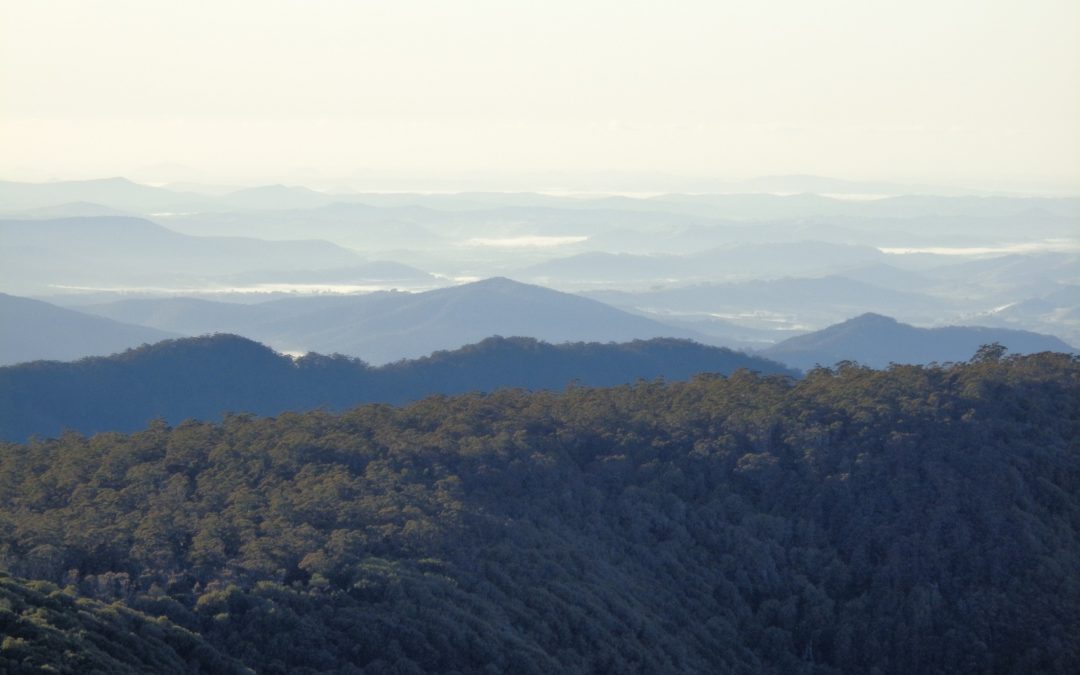 Barrington Tops