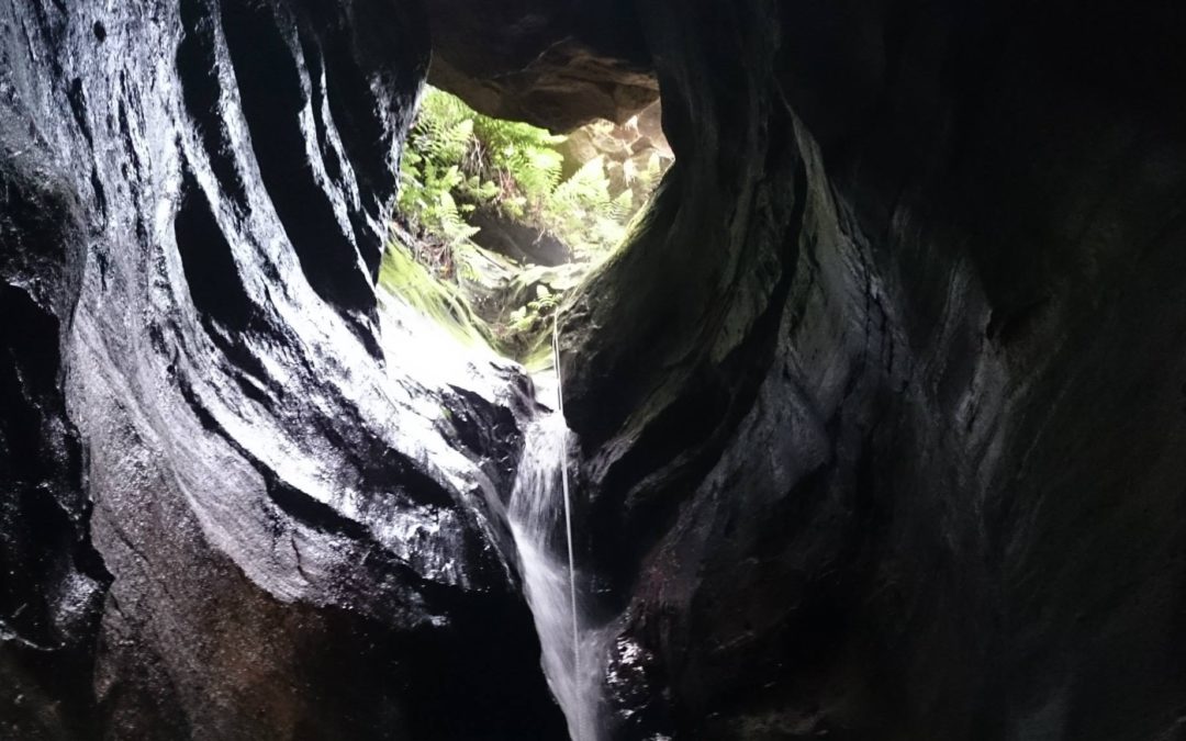 Beginners 1 day canyoning: Water-Dragon Canyon, Mt Wilson