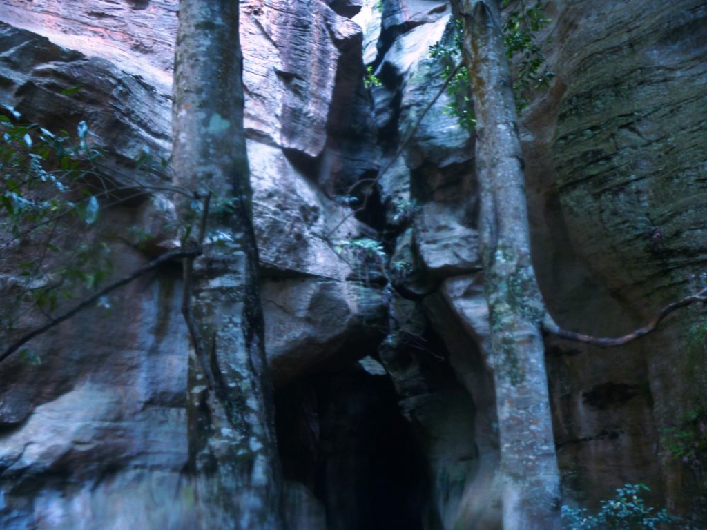 The iconic look back view of the Galah Canyon exit, between the twin coachwood sentinels