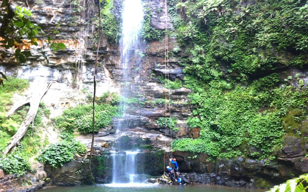 A canyon in the Illawarra