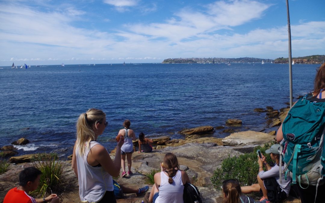 Manly – Balmoral -Taronga