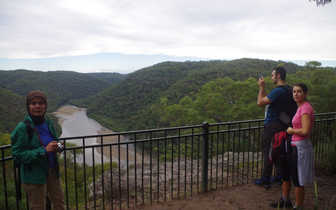 Berowra – Mt Kuringai