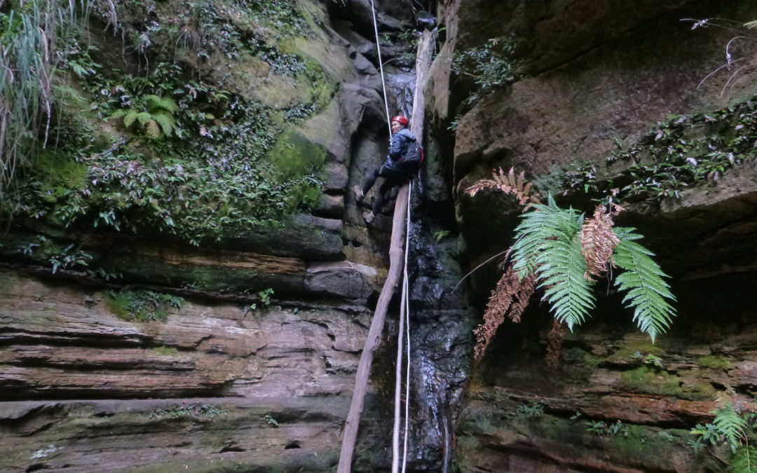 Mt York Abseiling & Juggler Canyon