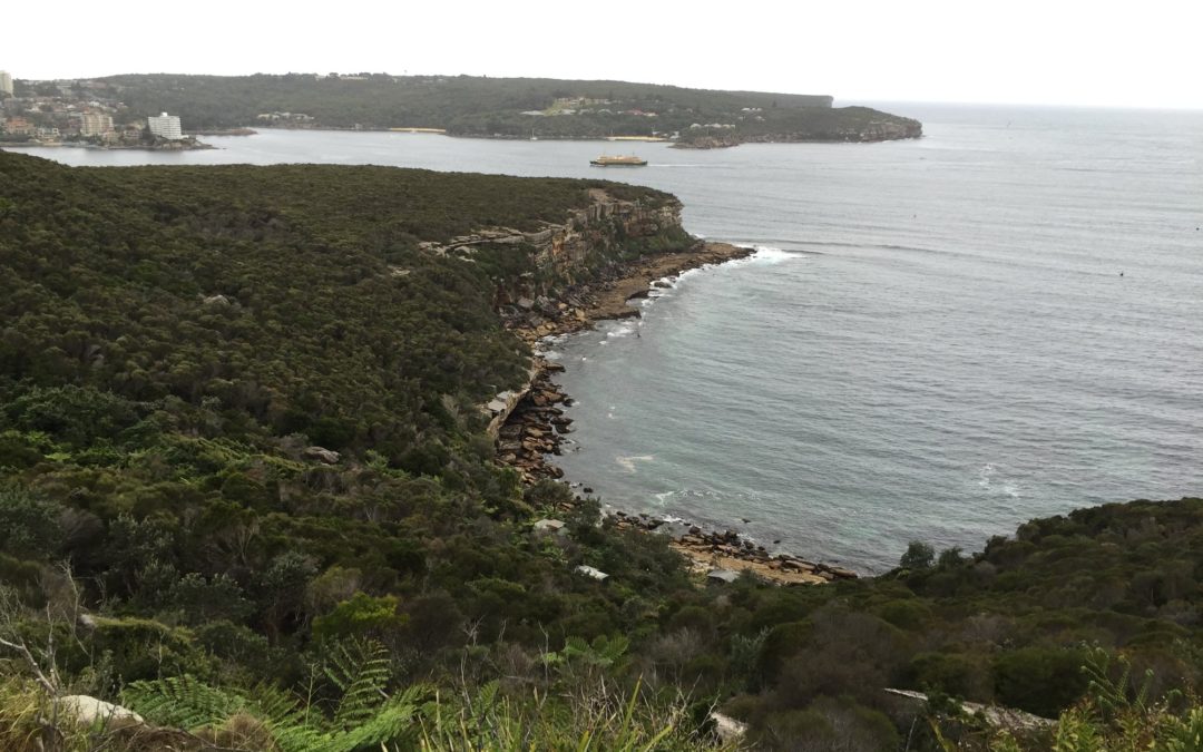 An Urban Walk on Middle Harbour