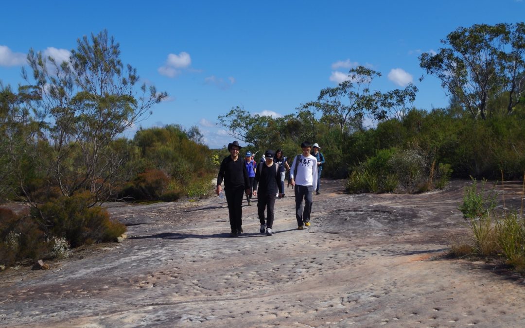 Mt Wondabyne