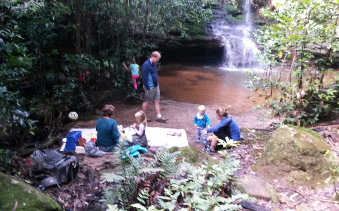 North Lawson Kids Picnic