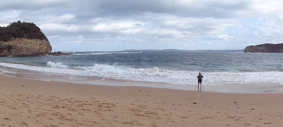 Whale Watching Walk, Bouddi NP