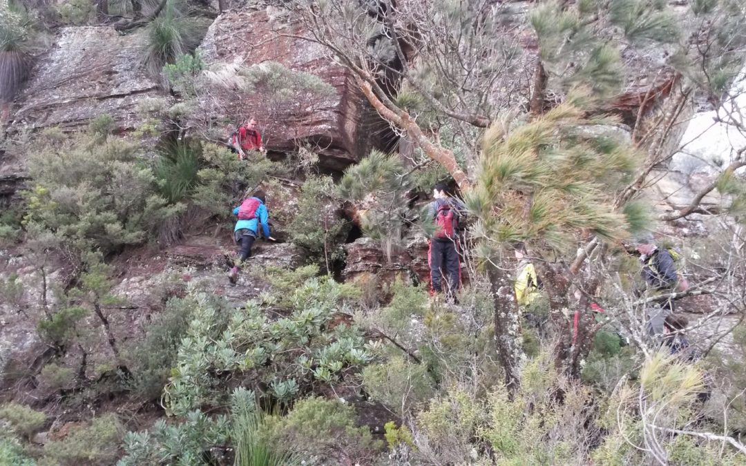 Gladstone Pass / Lindeman Track / Copeland Pass