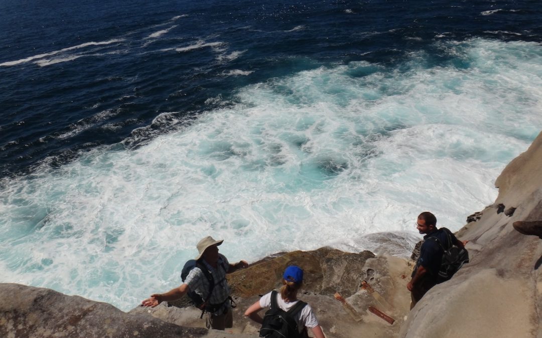 North Head Bottom of the Cliffs walk