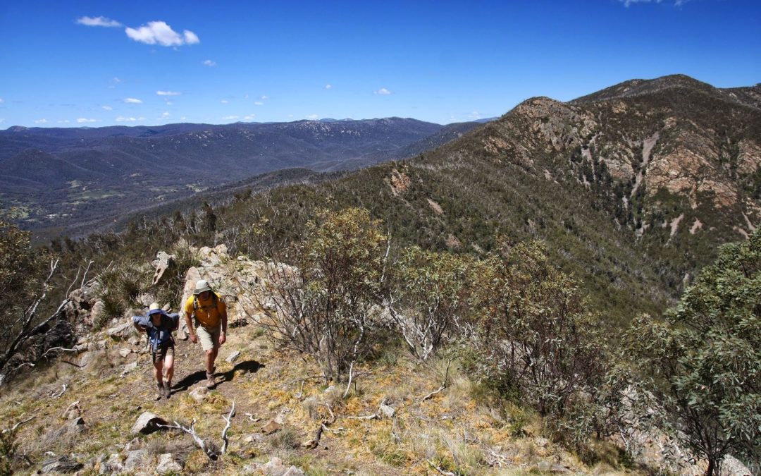 Tidbinbilla Peak