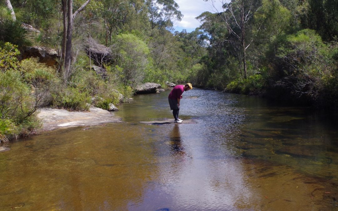 Loftus to Heathcote