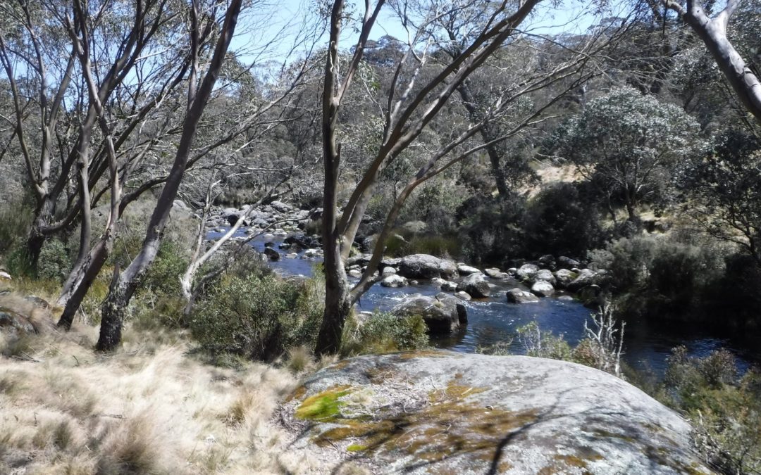 Corker Trail to Wombat Creek