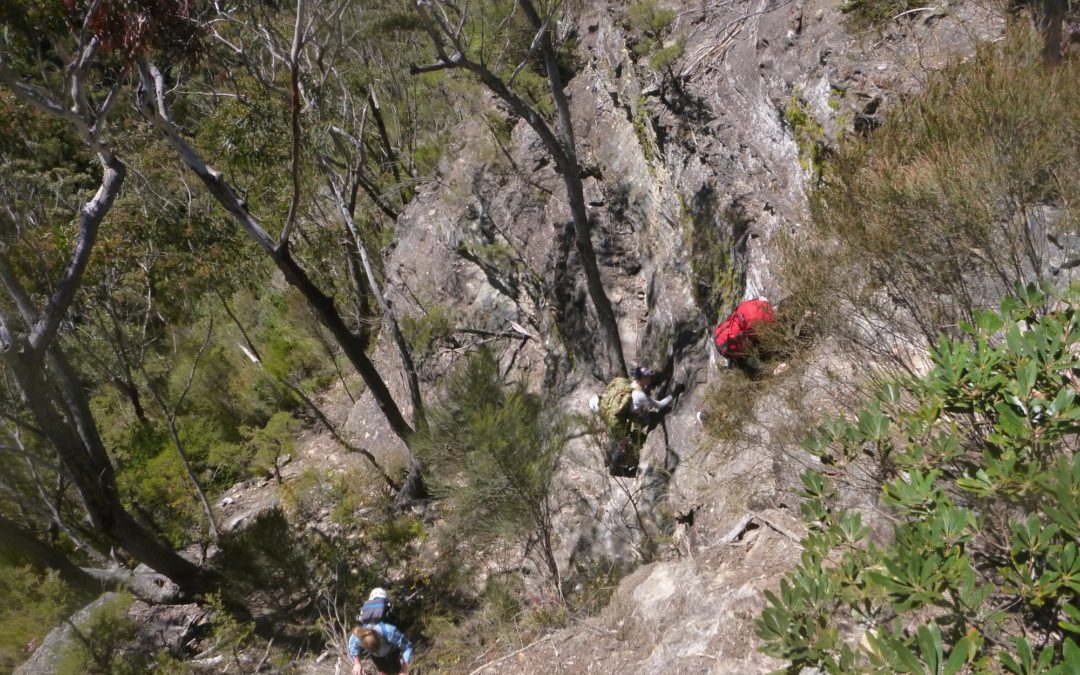 Hobnail Canyon