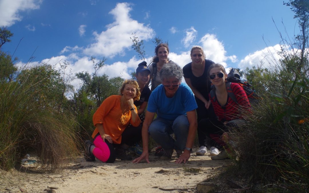 Wentworth Falls Robert’s Pass walk