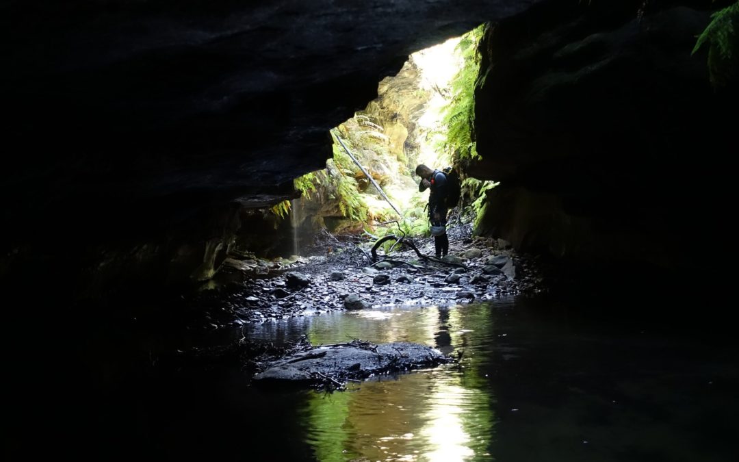 Serendipity and Water Dragon Canyons