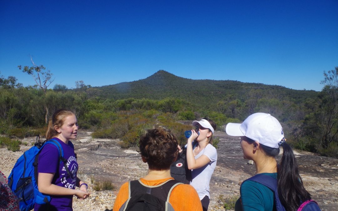 Mt Wondabyne