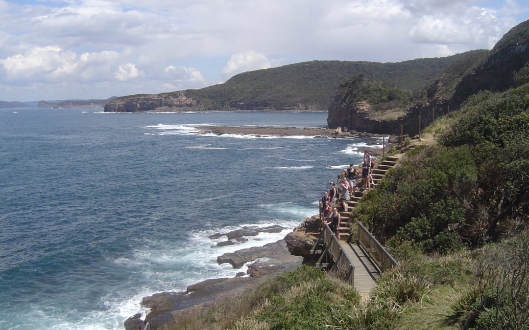 Little Beach to Killcare Beach via Maitland Bay