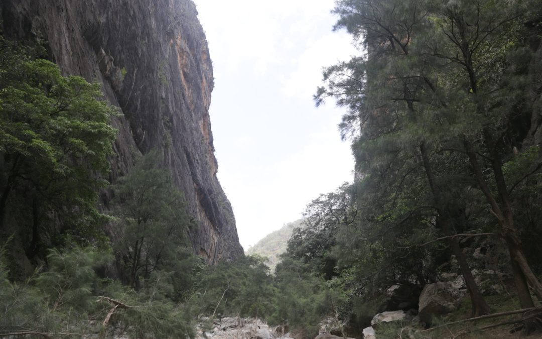 Bungonia Gorge