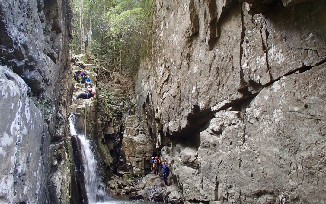 Beginner Canyoning Macquarie Rivulet