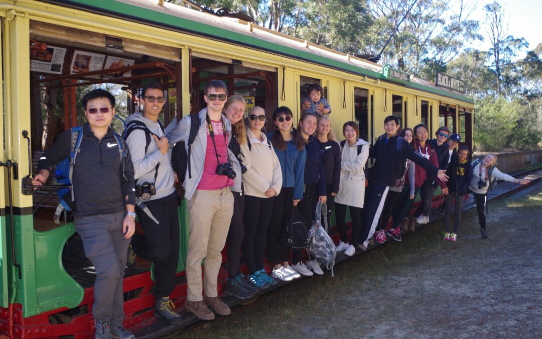 Royal National Park: Loftus to Waterfall