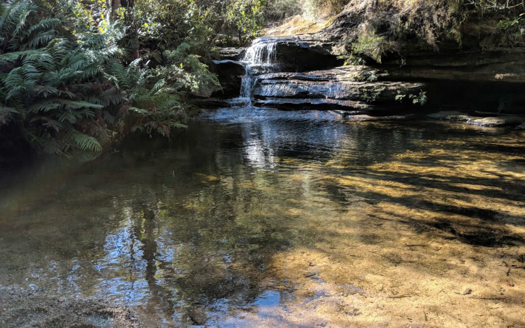 Mt Vic to Blackheath 2 night Bushwalk