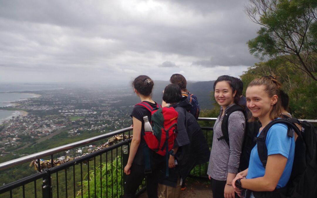 Coalcliff-Sublime Point-Austinmer