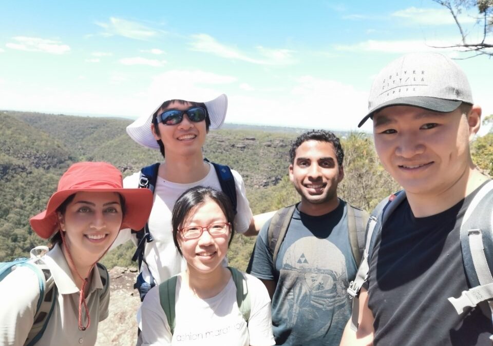 Martins Lookout Loop Via Lost World