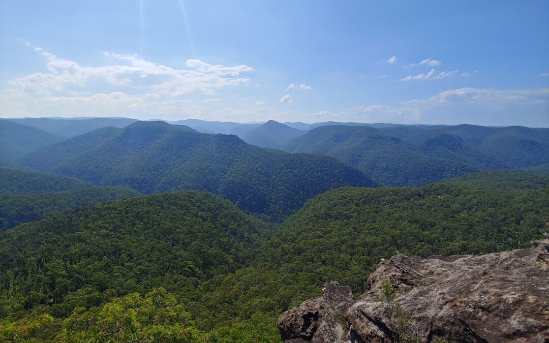 Mt-Not-D’Arcy via T3 Track (Colo RiverWollemi NP)