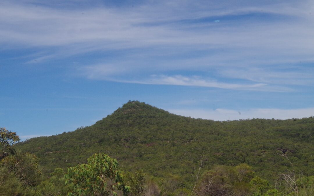 Wondabyne to Mt Wondabyne and Woy Woy