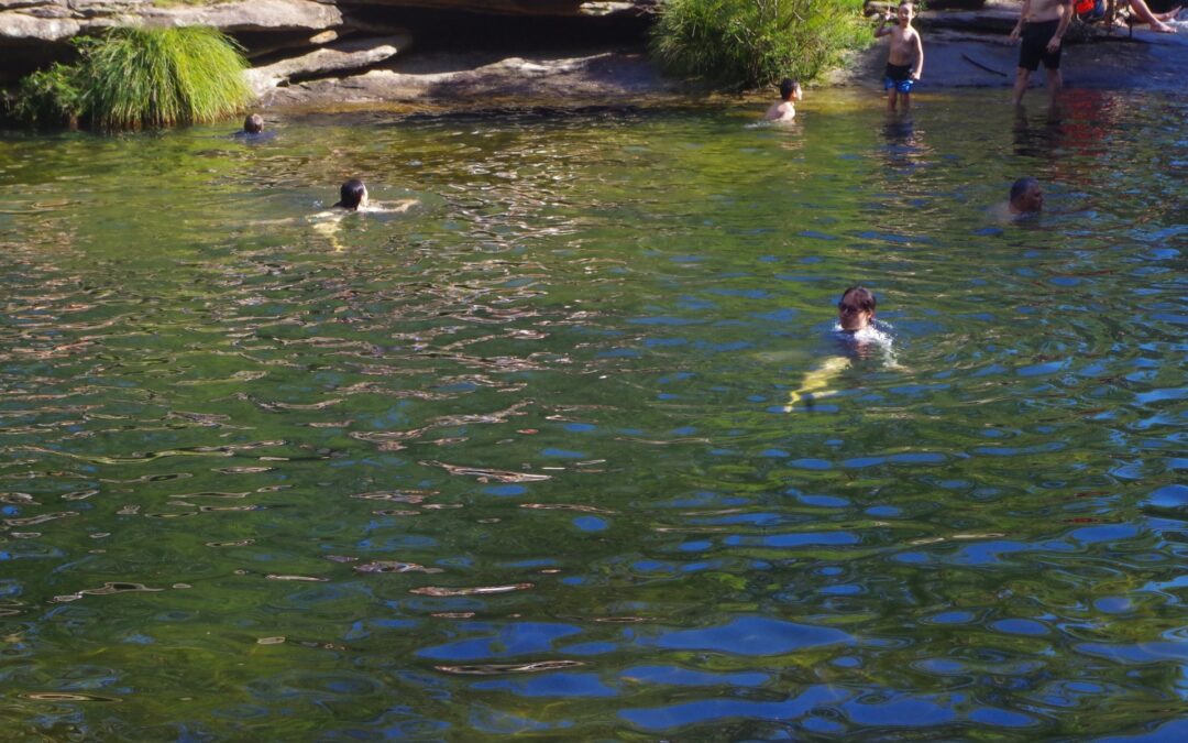 Royal National Park: Uloola Falls and Karloo Pool tracks, Easter Sunday 4th April