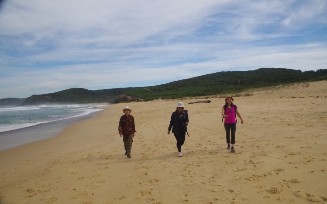 Newcastle – Fernleigh Track and Glenrock Conservation Area.