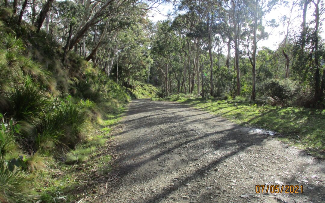 Barrington Tops