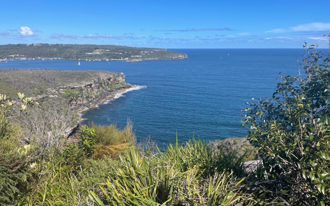 Spit bridge to Manly walk! (3pm)