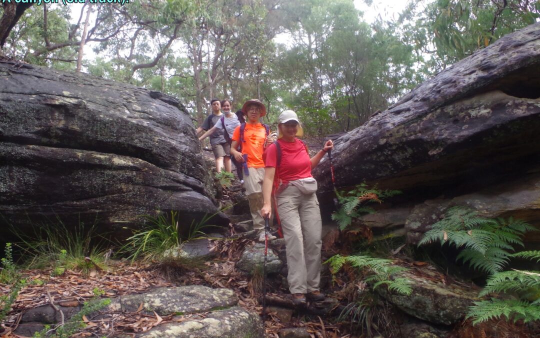 Brooklyn area walk, Hawkesbury River