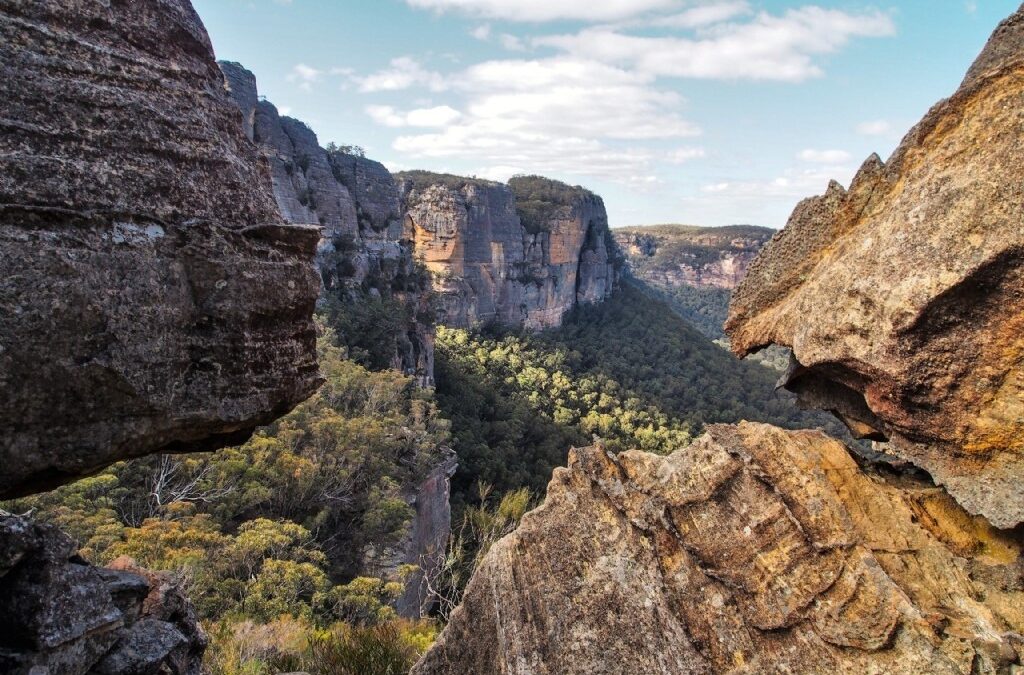 Dry Canyon Wollemi National Park