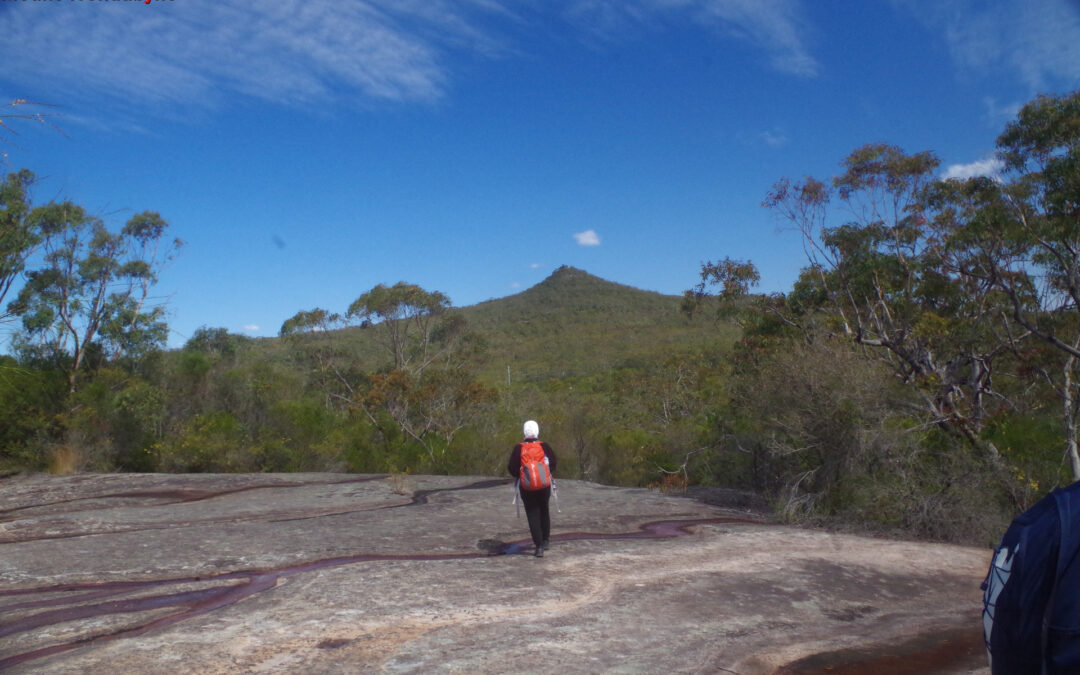 Wondabyne to Mt Wondabyne and Woy Woy 18/9/2022