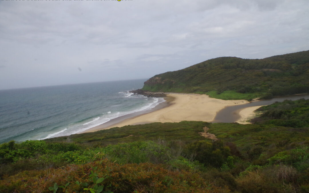 Combined Hike & Bushwalk: Newcastle – Fernleigh Track and Glenrock Conservation Area.