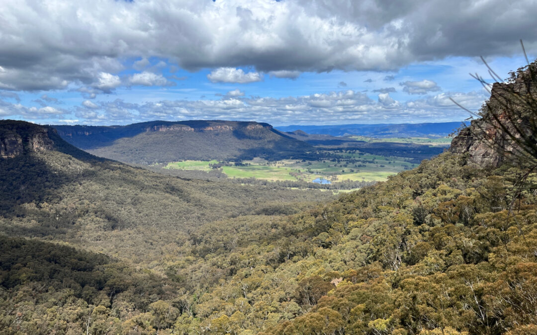 Mt Victoria-Mt Piddington-Fairy Bower- Pulpit Rock tracks