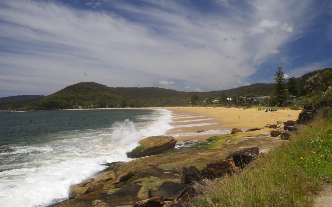 Umina – Pearl Beach – Patonga Walk Saturday 19/11/22.