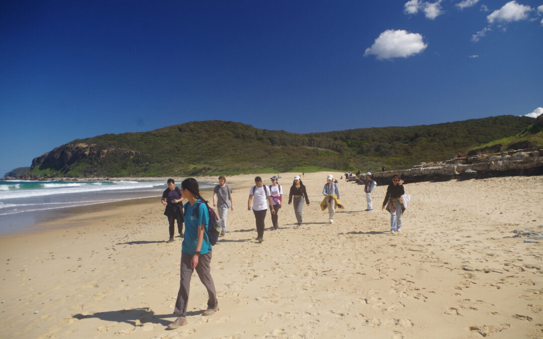 Newcastle – Fernleigh Track and Glenrock Conservation Area.