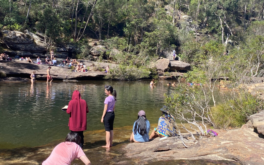 Royal National Park: Uloola Falls and Karloo Pool tracks, Sunday 15th October.