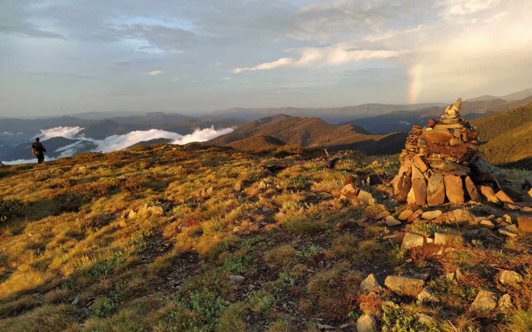 Yuraygir coastal walk (Angourie to Redrock) – 7 day trip