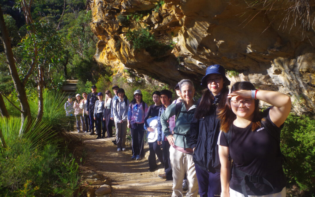 Katoomba to Leura via Prince Henry Cliff track. Sunday 4/5 (“May the Fourth be with you!”)