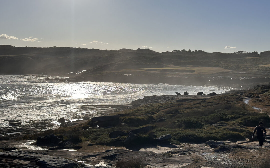 Afternoon walk: Kamay NP La Perouse, and maybe see Mercury, Fri 4th July